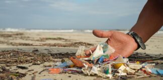 Projeto Atitude pelos Oceanos limpeza de praias
