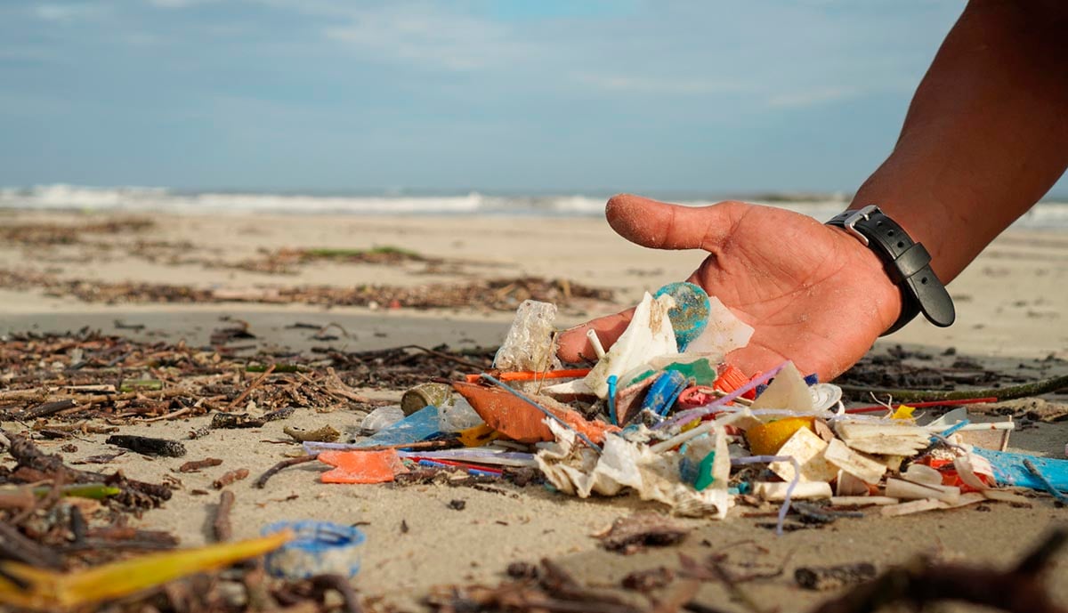 Projeto Atitude pelos Oceanos limpeza de praias
