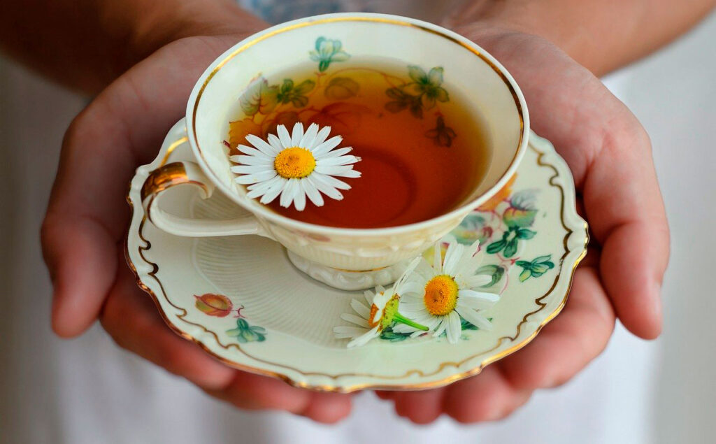 camomila benefícios chá