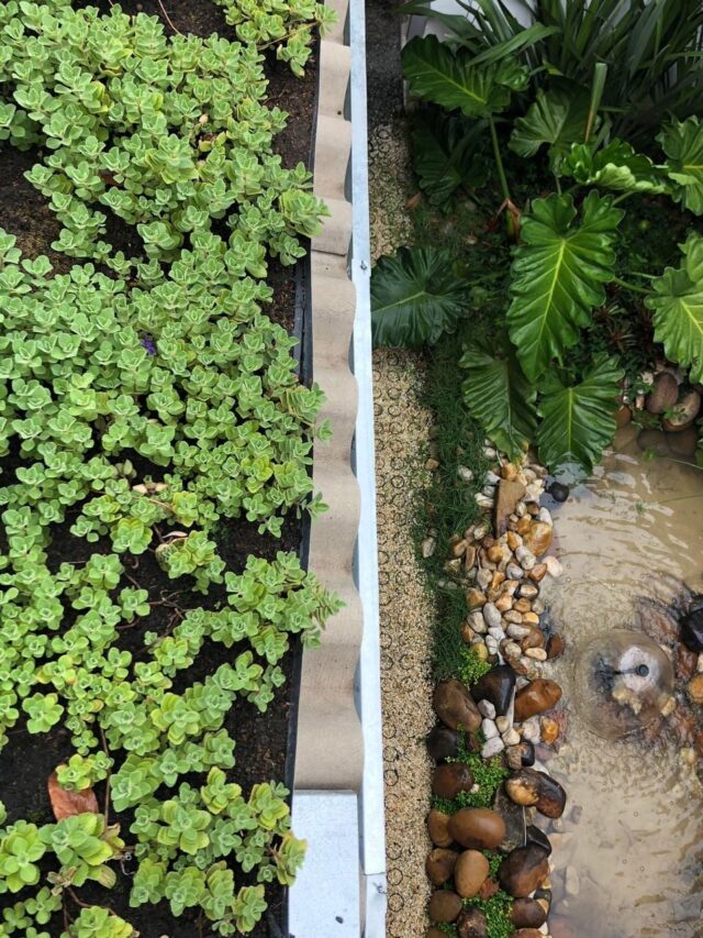 cropped-agua-reaproveitar-ciclovivo.jpg