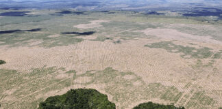 desmatamento Amazônia