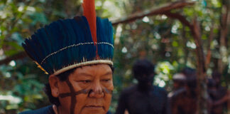 indígenas genocídio a última floresta