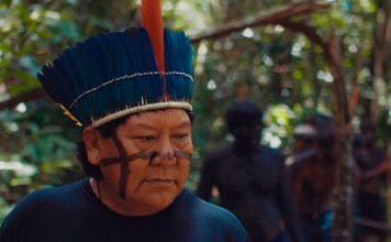 indígenas genocídio a última floresta