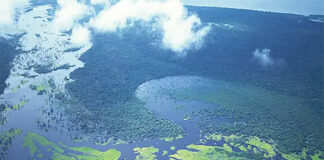 Natura Amazônia