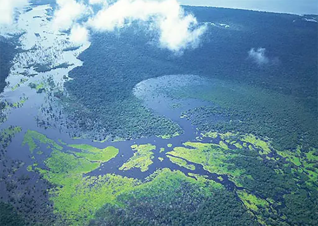 voor de helft fout Op grote schaal Natura &Co lança plataforma de monitoramento da Amazônia - CicloVivo
