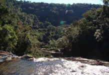 Parque Estadual do Jurupará restauração