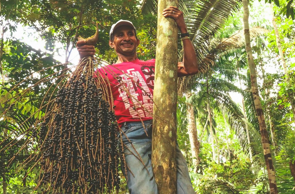 SDSN amazônia