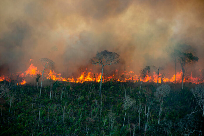 fogo Amazônia