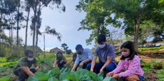 Itajubá (MG) investe em agroecologia como solução socioambiental
