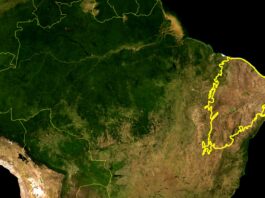 MapBiomas revela aumento do risco de desertificação na Caatinga