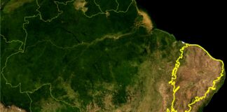 MapBiomas revela aumento do risco de desertificação na Caatinga