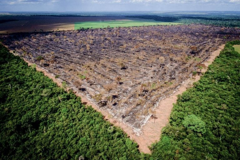 Desmatamento zero é melhor chance do Brasil avançar em ação climática