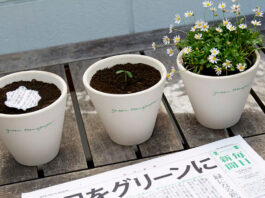 jornal japonês flores