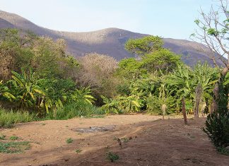 recuperação solo Ceará