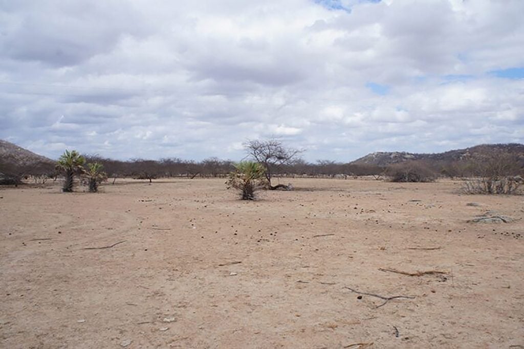 recuperação solos Ceará