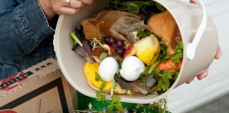Califórnia exige que moradores destinem sobras de alimentos para a compostagem