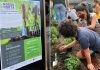 Iniciativa quer criar 3 mil hortas comunitárias em condomínios de SP