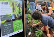 Iniciativa quer criar 3 mil hortas comunitárias em condomínios de SP