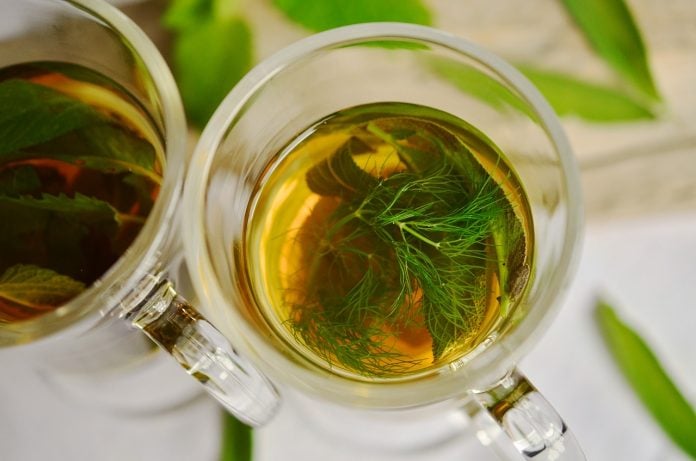 plantas para acalmar chá