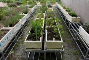 horta autoirrigavel