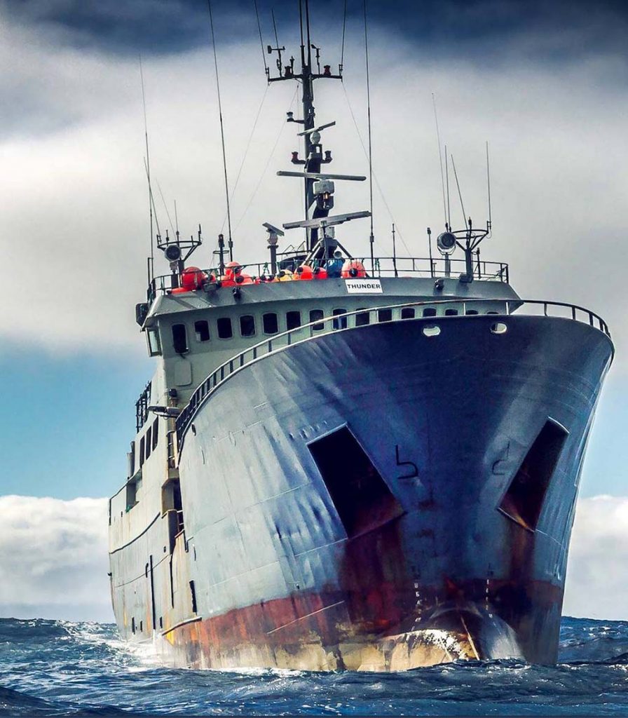 Perseguição ao Thunder Sea Shepherd