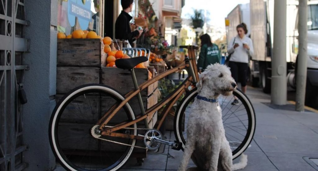 bicicleta barril