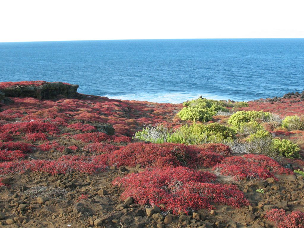 Reserva de Galápagos