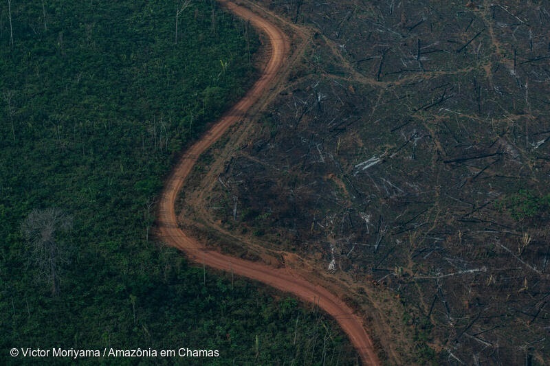 Amazônia fevereiro