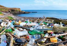 Líderes mundiais se unem para acabar com poluição plástica global - Credit - ndla-no