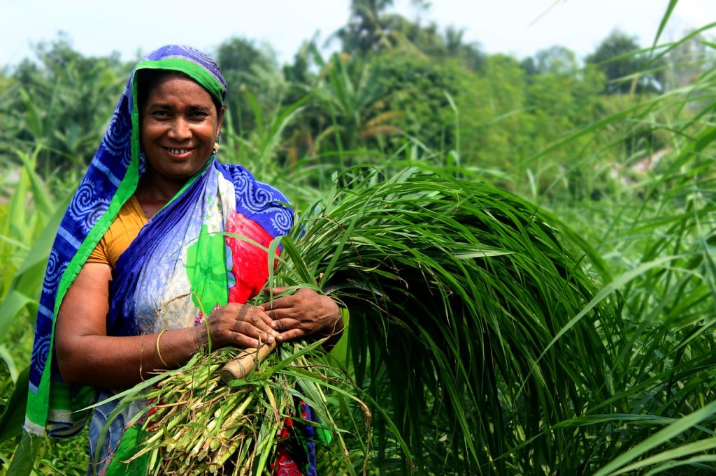 mulher agricultura