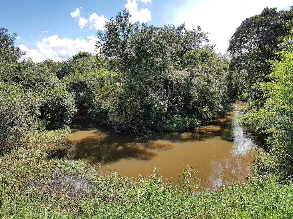 bacia do rio miringuava