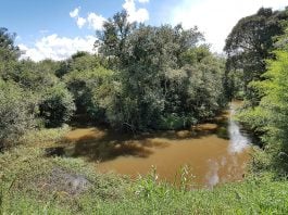 bacia do rio miringuava