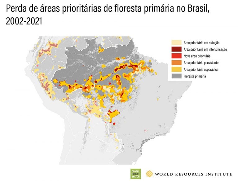 perda de florestas no Brasil