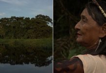 série amazônia Arqueologia da Floresta