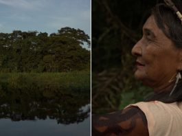série amazônia Arqueologia da Floresta