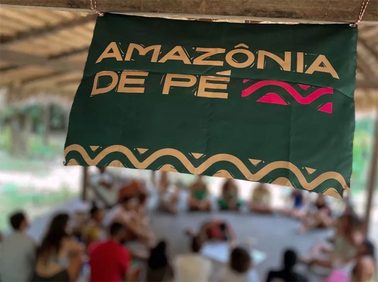 projeto de lei amazônia de pé