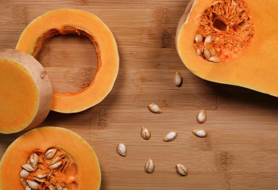 5 receitas práticas para aproveitar integralmente os alimentos - CicloVivo