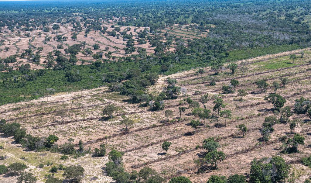 desmatamento soja pantanal