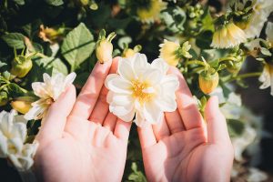 contato com a natureza mãos e flor