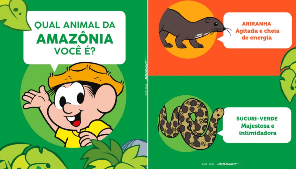 amazônia floresta 