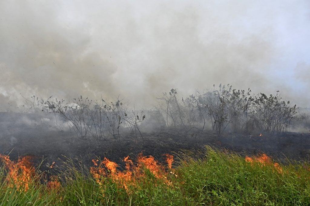 queimadas na Amazônia