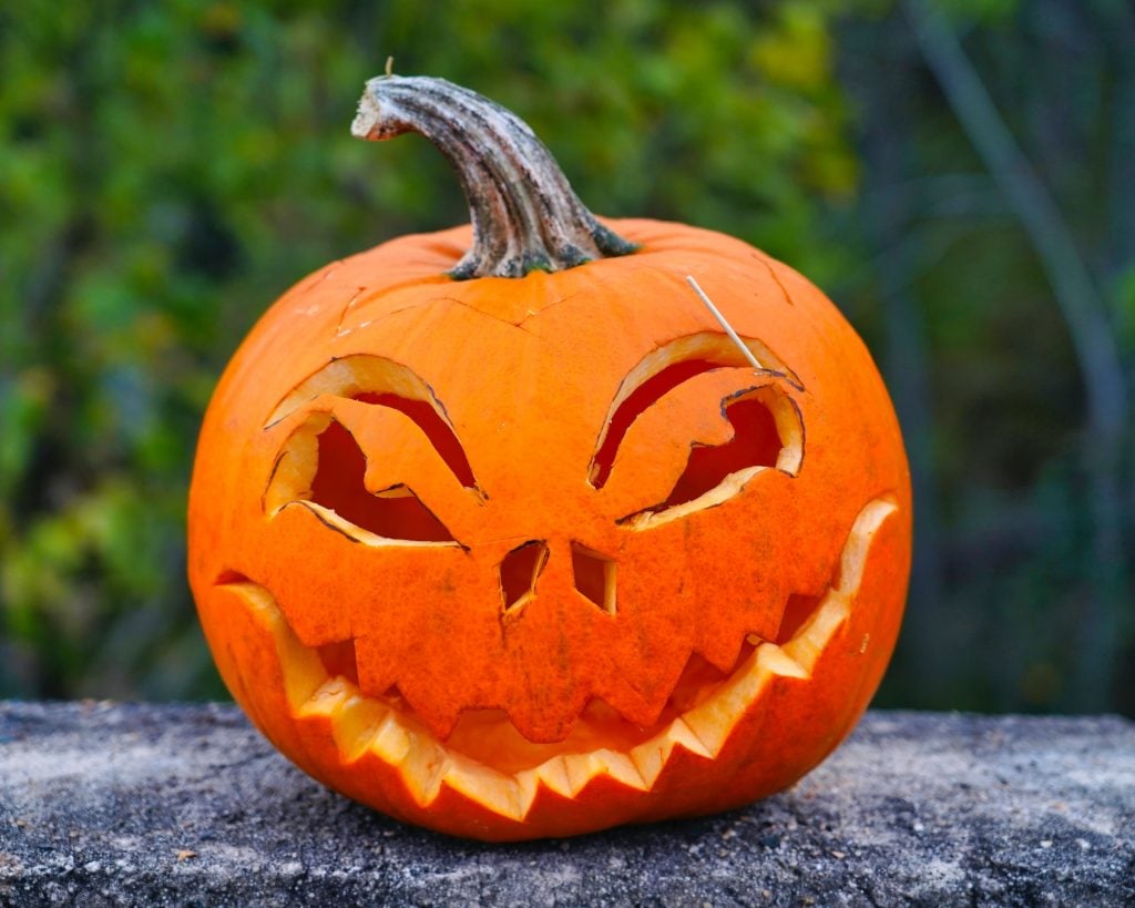 Retrato de uma feia bruxa de halloween com abóboras de halloween