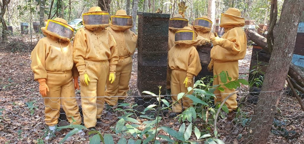 apicultores mato grosso do sul