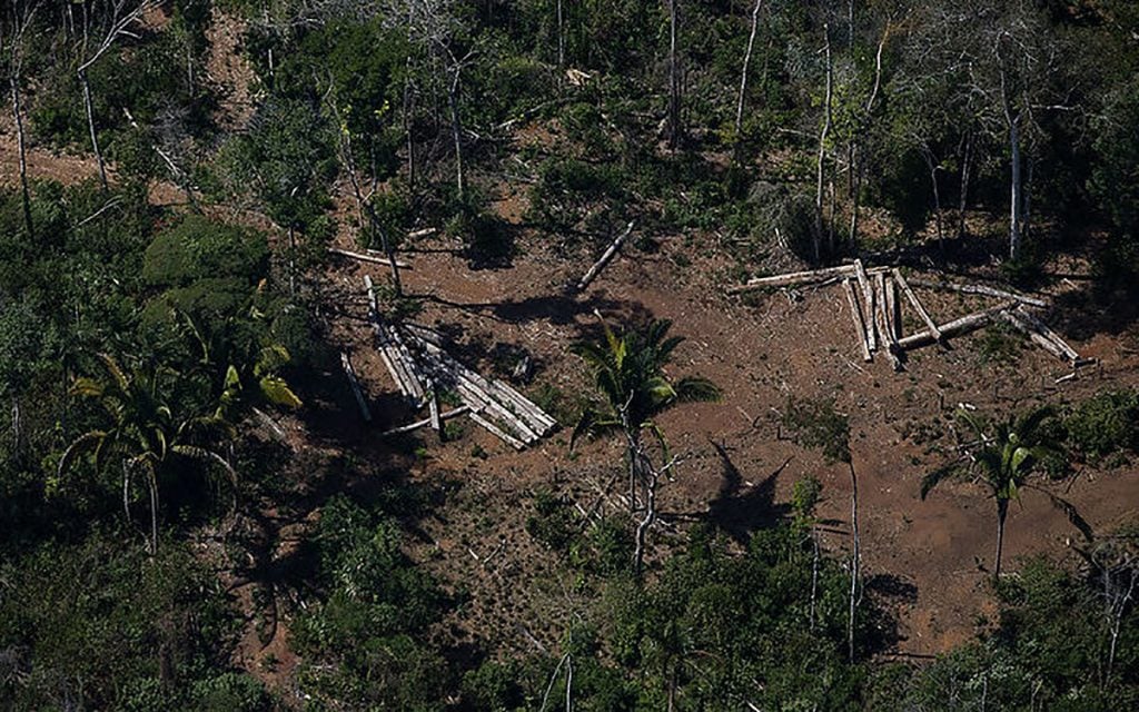 desmatamento amazônia