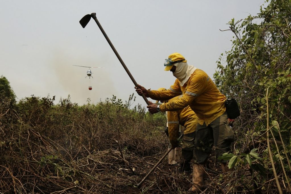 documentário incêndios Pantanal