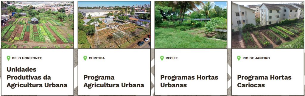 plataforma agricultura urbana