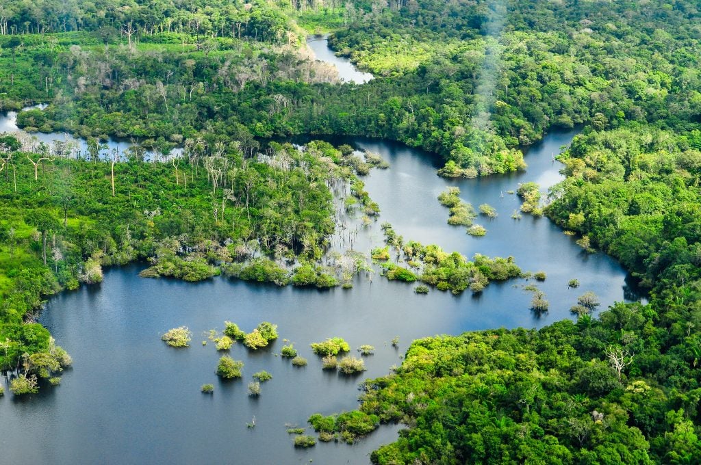 O papel da Amazônia no clima do planeta