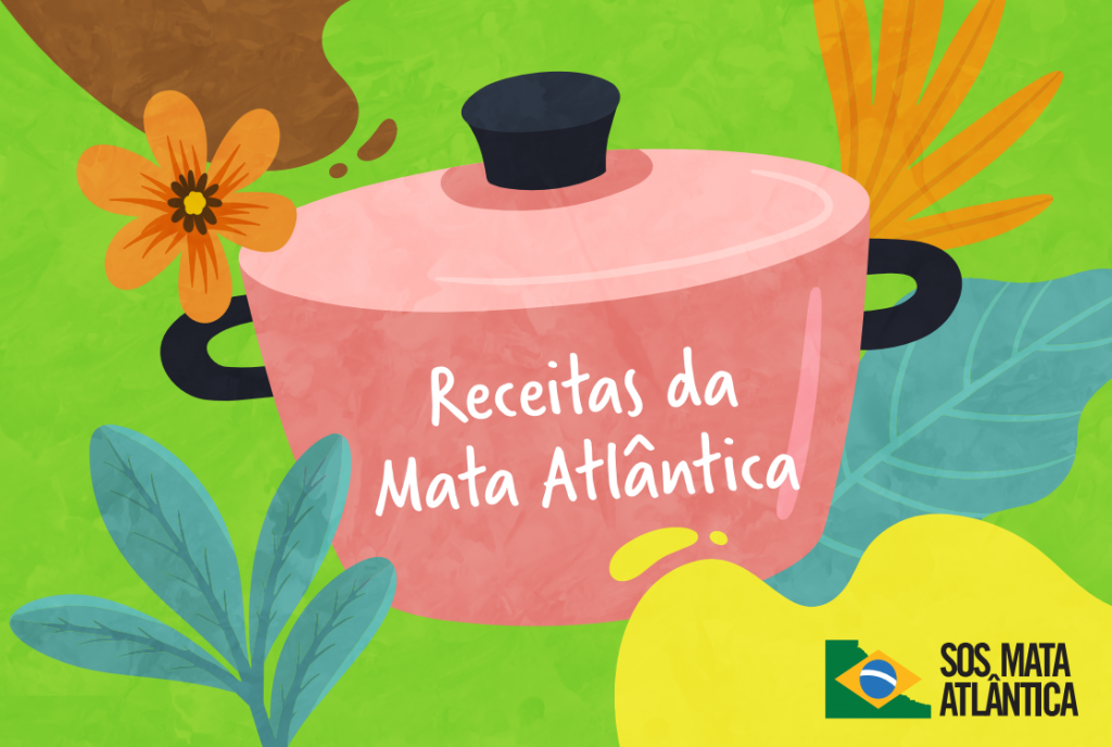 receitas Mata atlântica