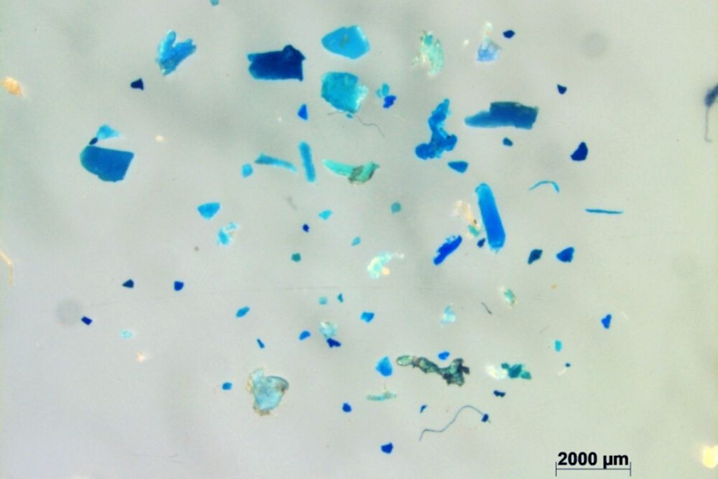 poluição microplástico cientistas
