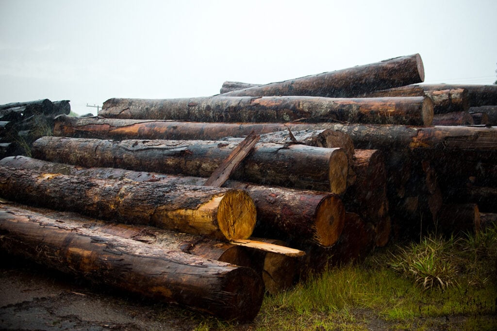 madeira ilegal Amazônia